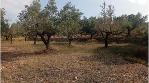 Photo 4 of Country house for sale in Altura, Castellón