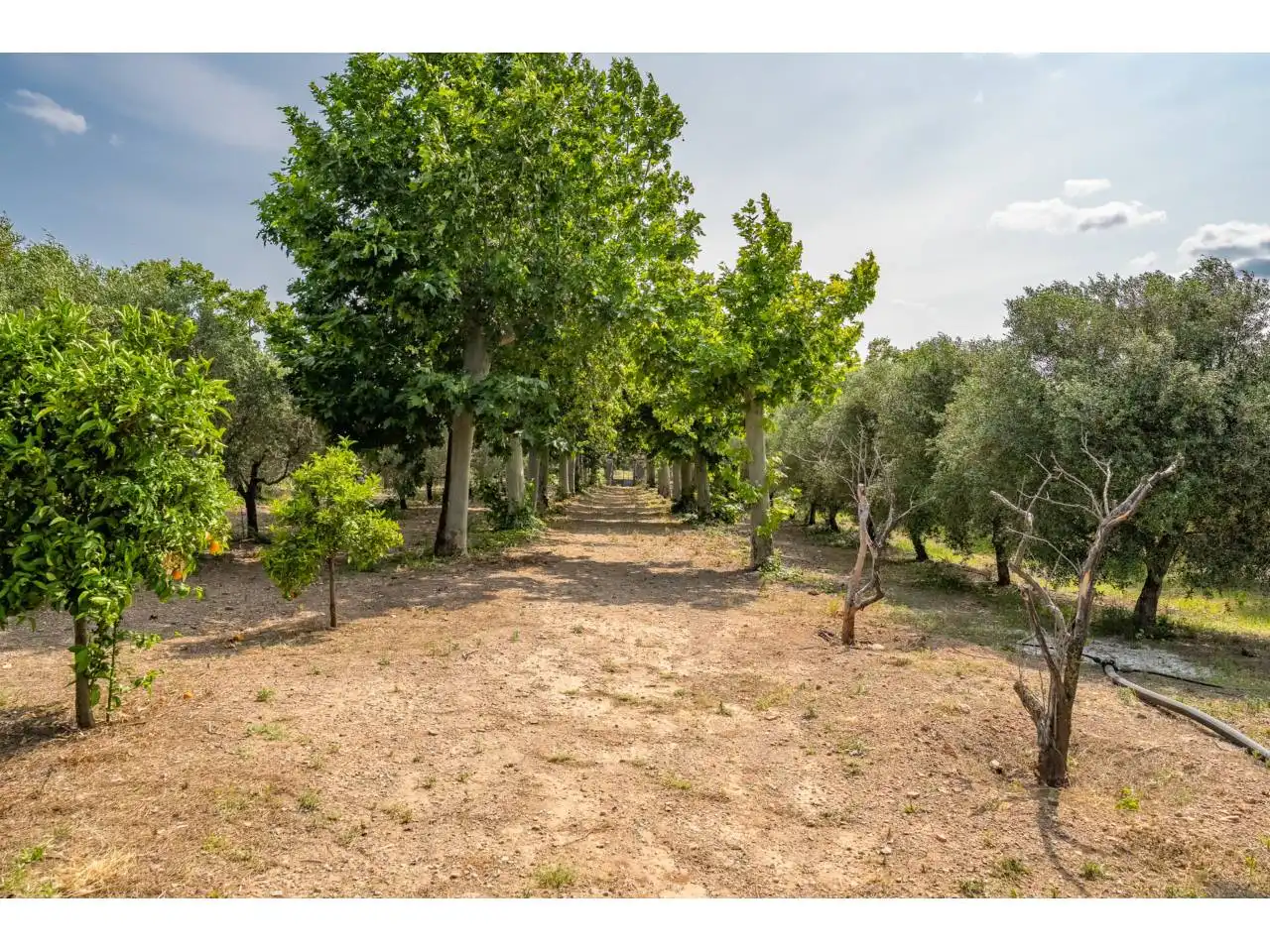 Finca rústica en venta en Reus con Jardín privado, Terraza y Piscina