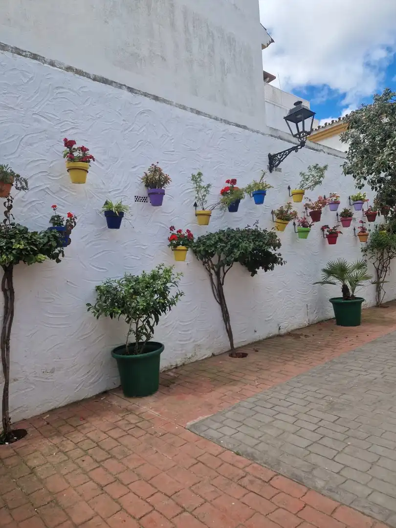 Piso con ascensor en venta en Estepona - Estepona,Centro,Avenida Juan Carlos I, imagen 2