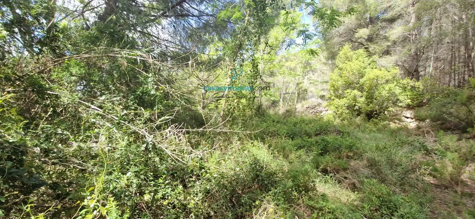 Finca rústica en venta en El Montmell con Jardín privado, Terraza y Balcón