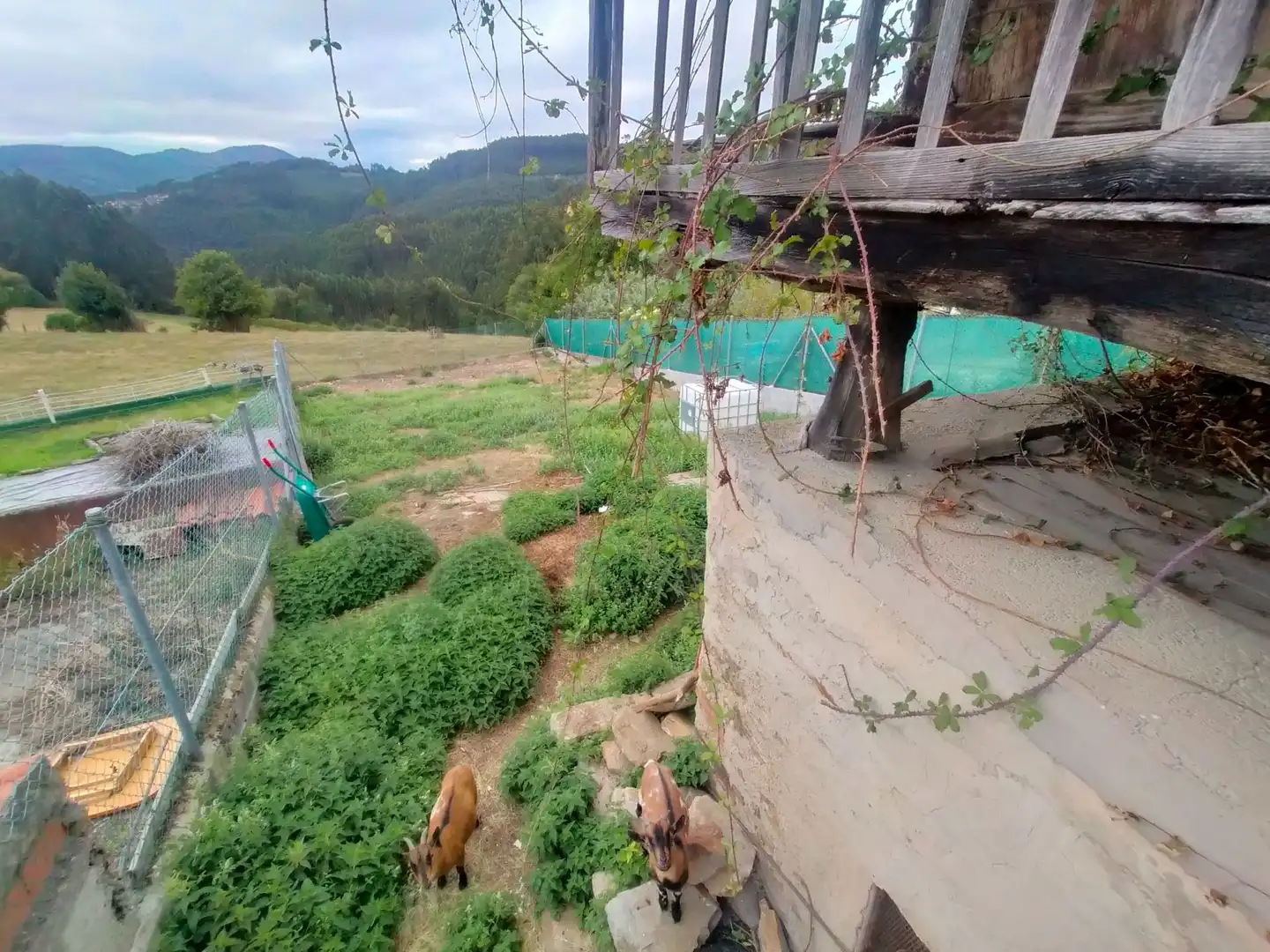 Casa rustica con giardino in vendita a Pravia, imagen 46
