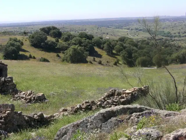Lands and plots for sale in M-104 FINCA LA ENCINILLA (JUNQUER), imagen 6