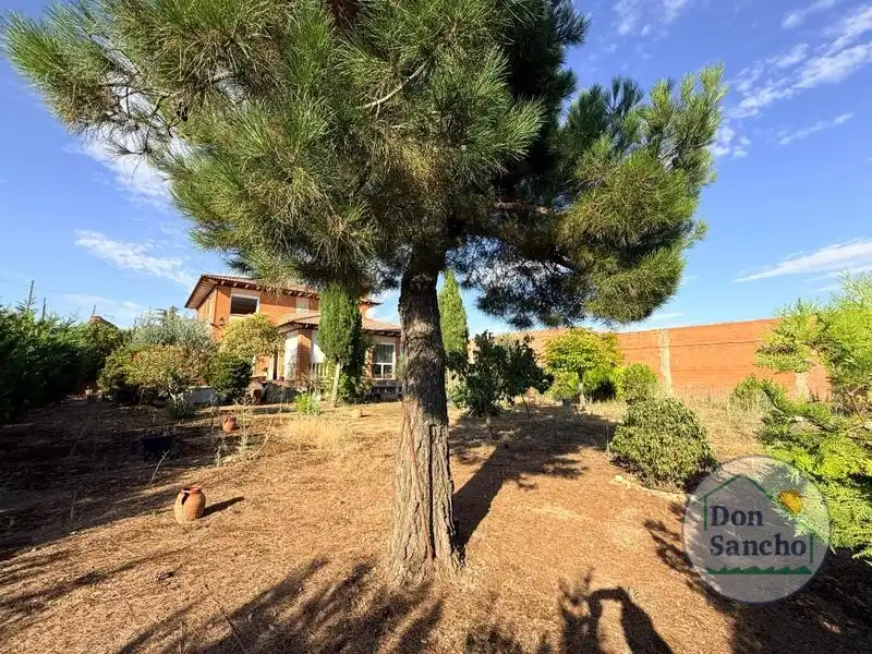 Jardín de Casa o chalet en venta en Cabezón de Valderaduey con Calefacción