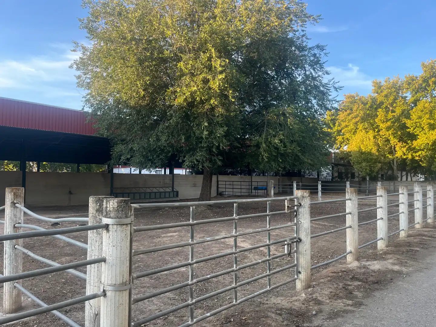 Industrial building for sale in Carretera de Córdoba, imagen 76