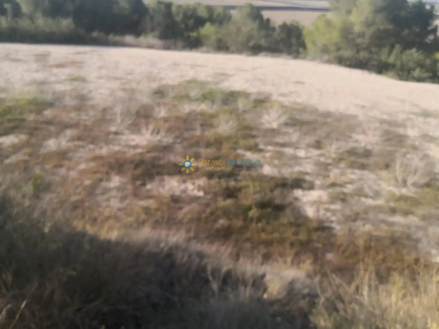 Finca rústica en venta en Albaida con Jardín privado y Trastero