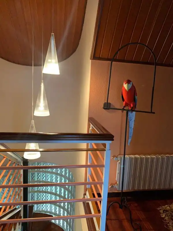 Terraza de Casa o chalet en venta en Vigo  con Calefacción, Jardín privado y Trastero
