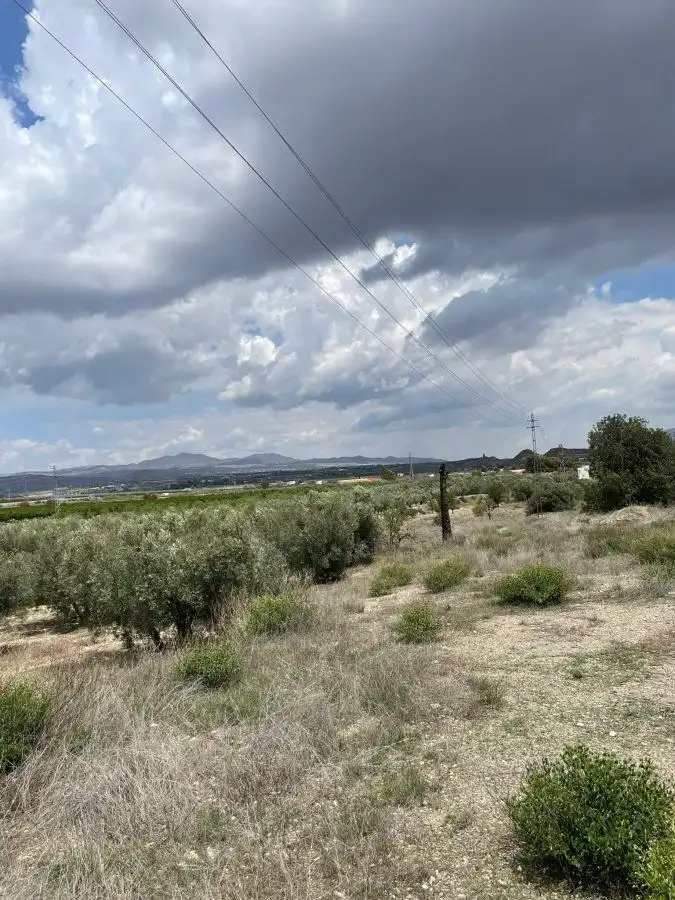 Terrenys i solars en venda a Huércal-Overa, imagen 7