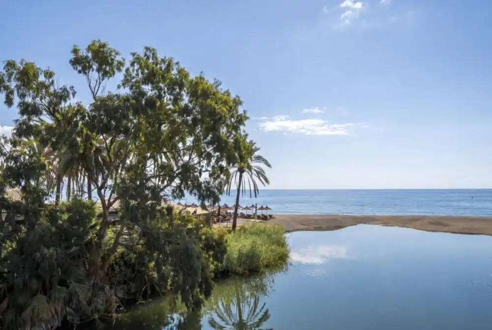 Jardí de Apartament de lloguer en Nueva Andalucía