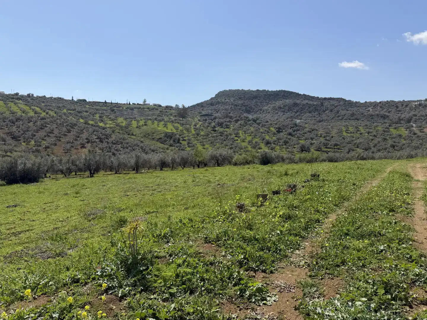 Country house zum Verkauf in Viñuela mit Schwimmbad