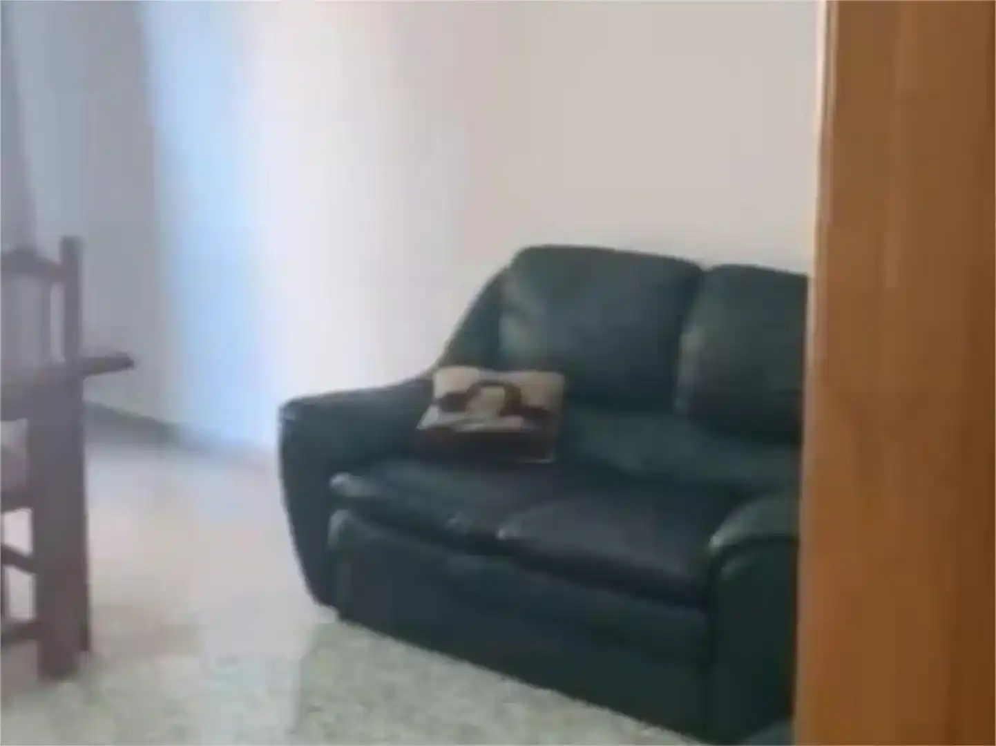 Sala d'estar de Pis de lloguer en Chana