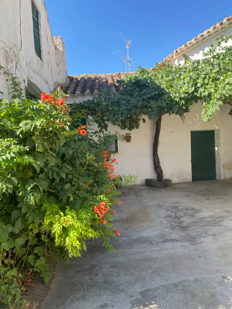 House with garden for sale in Calle Mayor 6, imagen 44