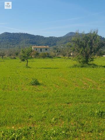 Terreno en Venta en Binissalem