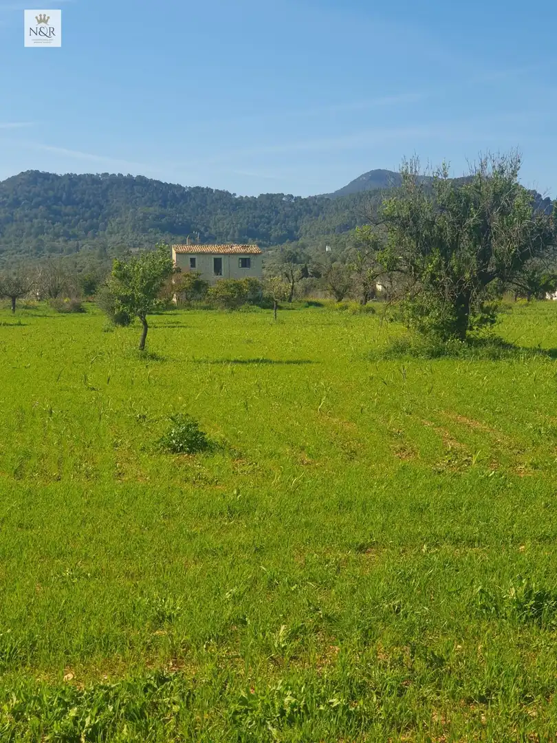Land for sale in Binissalem