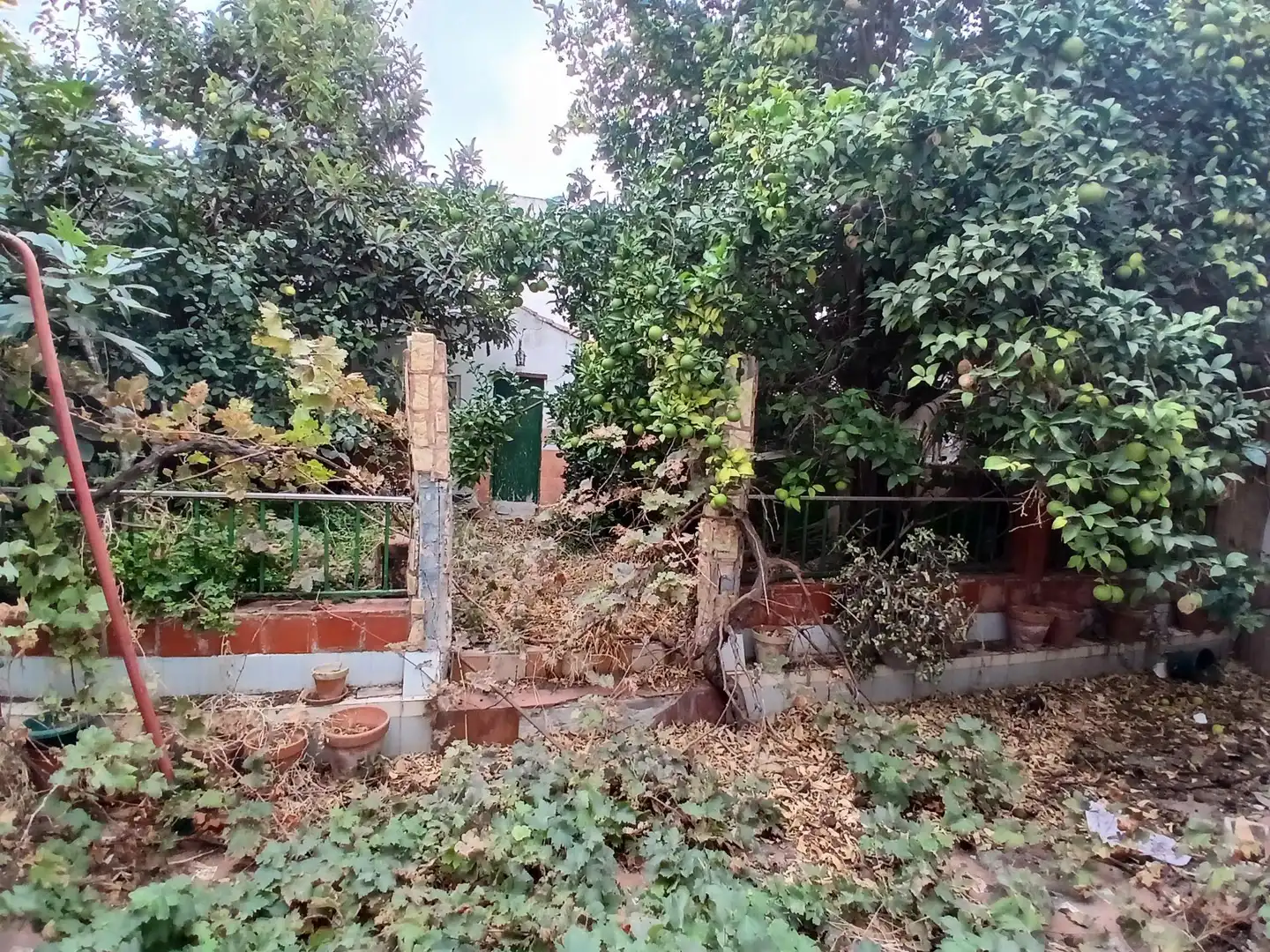 Houses for sale in Puerto Real