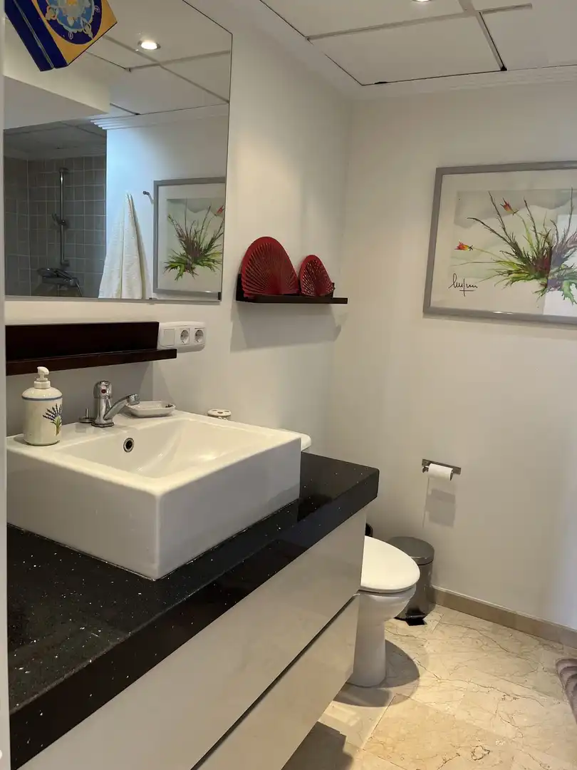Bany de Dúplex de lloguer en Marbella amb Aire condicionat, Terrassa i Moblat