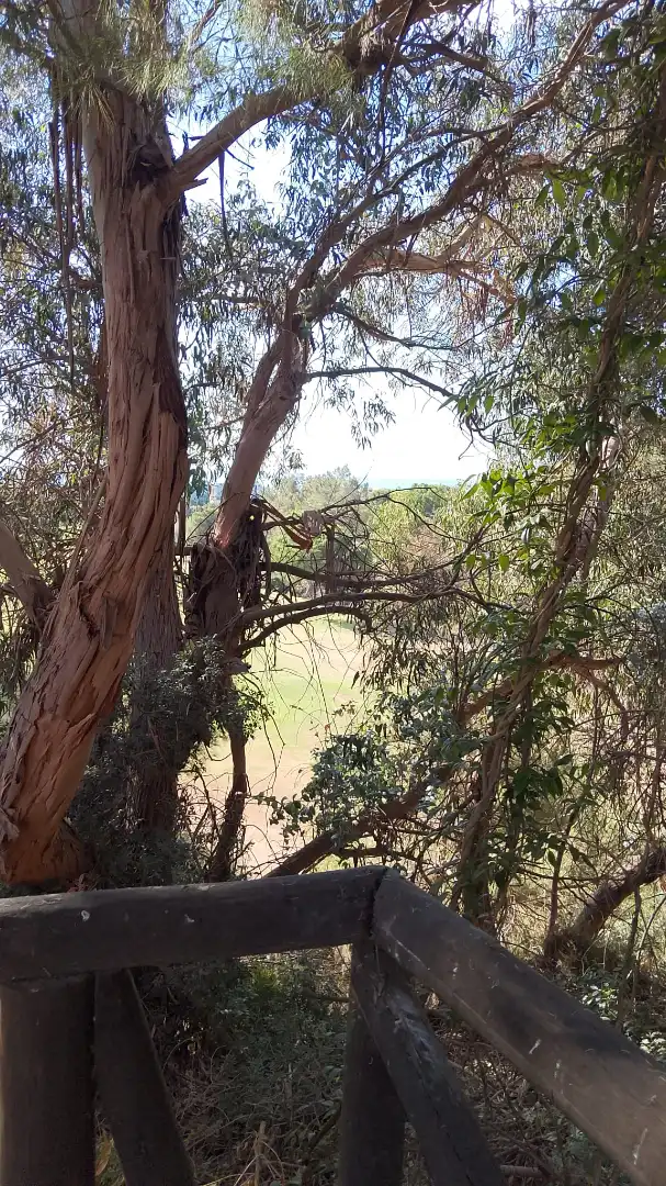 Jardí de Dúplex en venda en Islantilla amb Jardí privat, Terrassa i Traster