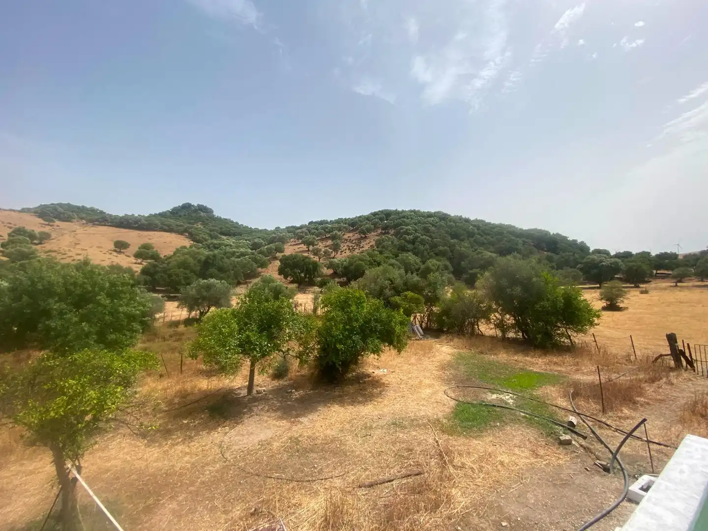 Terreni e lotti in vendita a Alcalá de los Gazules, imagen 79