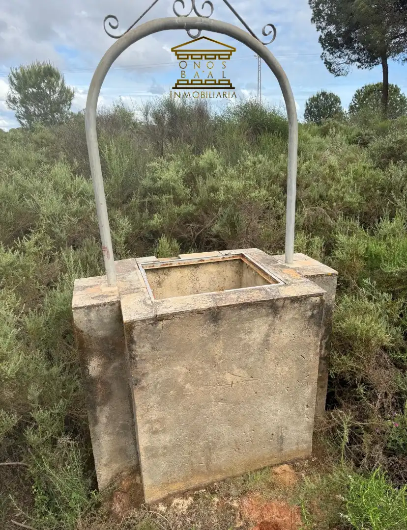 Jardín de Terreno en venta en Almonte