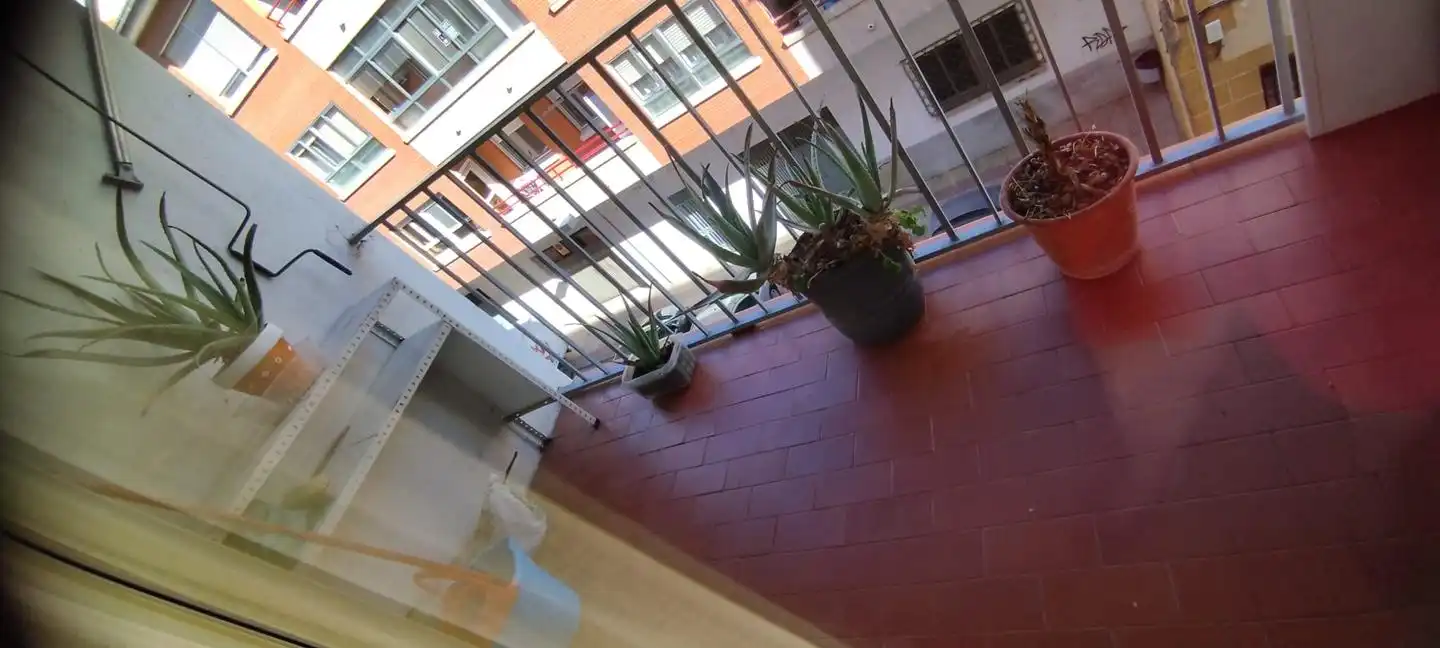 Pis amb ascensor en venda a Los Pinos - El Pilar, imagen 18