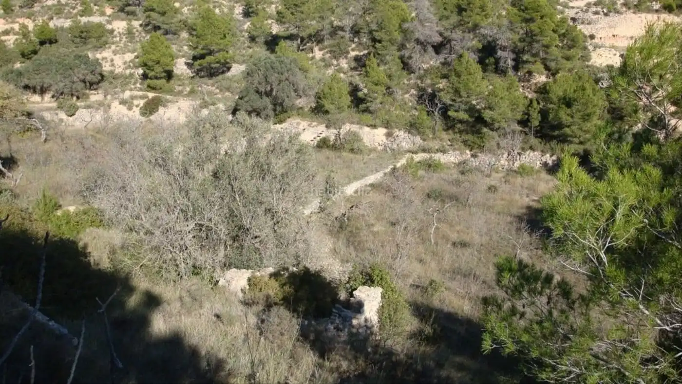 Rustikales Grundstück zum Verkauf in Carrer de l'Església 35, imagen 4