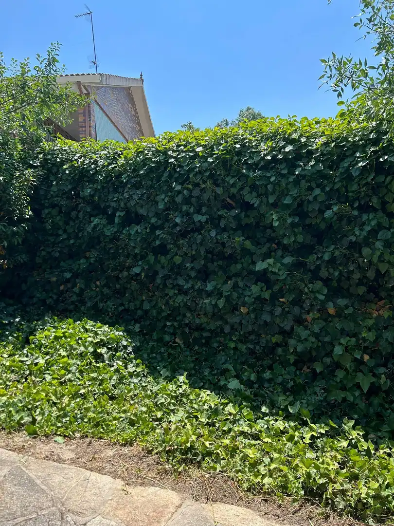 Jardín de Casa o chalet en venta en Colmenarejo con Calefacción, Jardín privado y Terraza