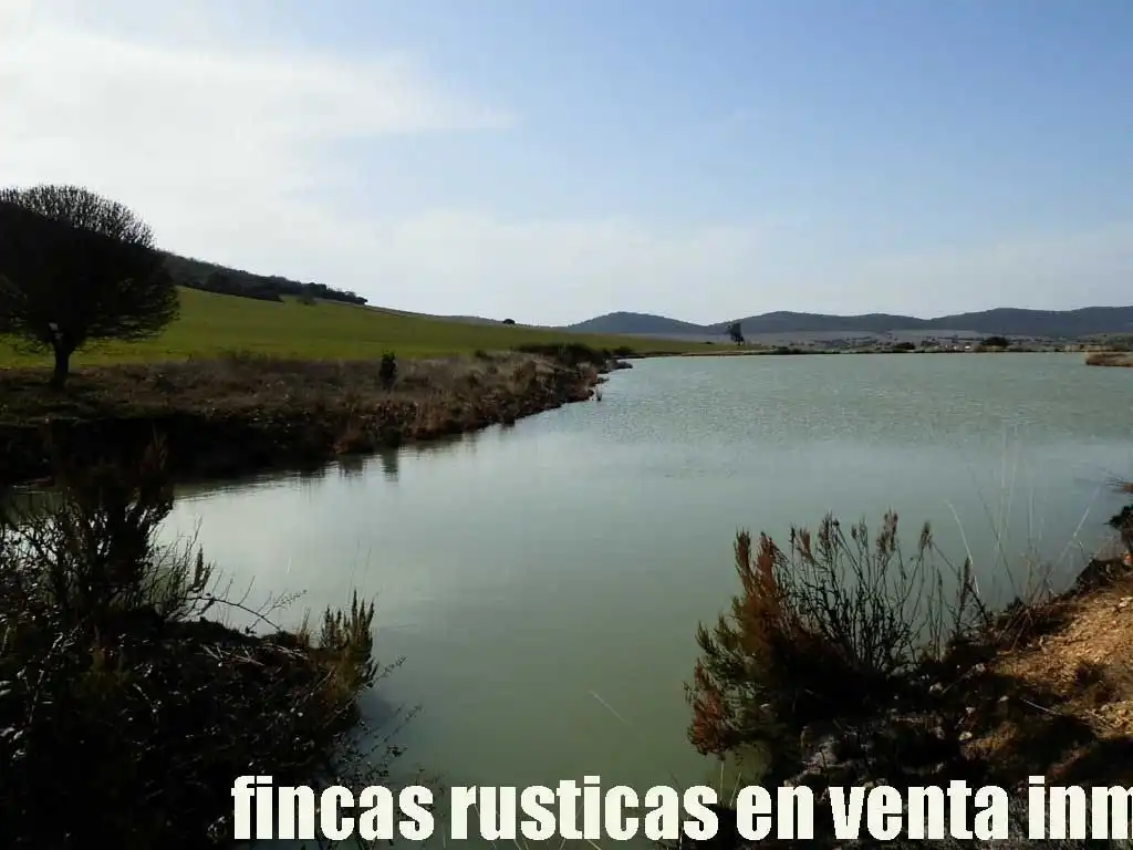 Terreny rústic en venda a Puebla de Don Rodrigo, imagen 2