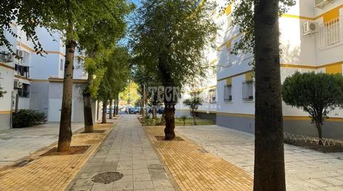Photo 3 of Flat for sale in Pino Montano - Consolación, Sevilla