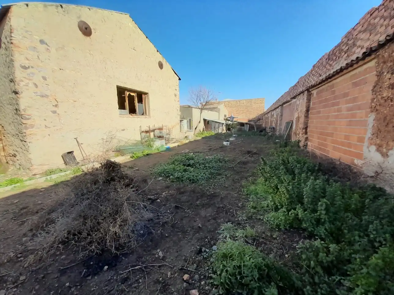 House with garden for sale in Carretera de Córdoba - Libertad, imagen 13