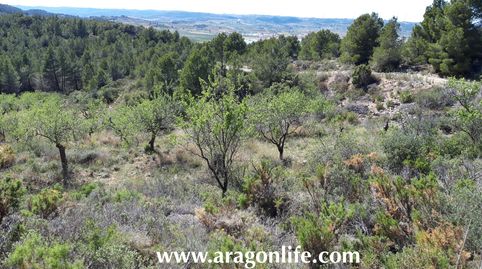 Foto 2 de Terreno en venta en Gandesa, Tarragona
