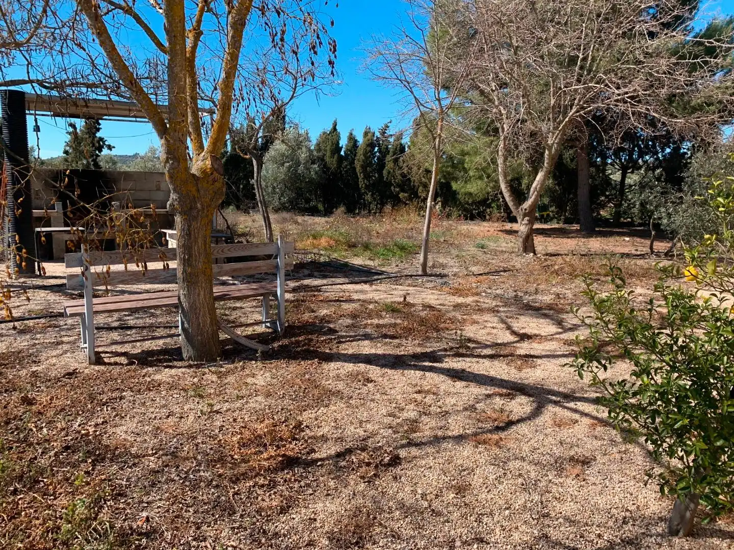 Xalet amb piscina en venda a Úbeda, imagen 18