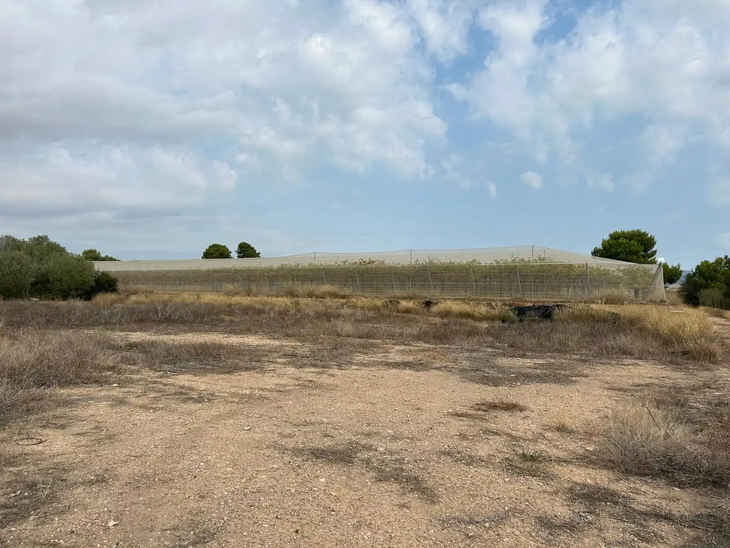 Terreno rustico in vendita a Carrer Lliria, imagen 2