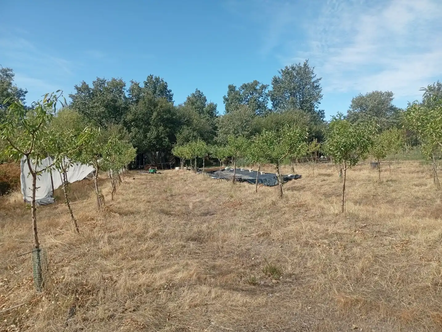 Terrain rustique à vendre à Villanueva de la Vera, imagen 35