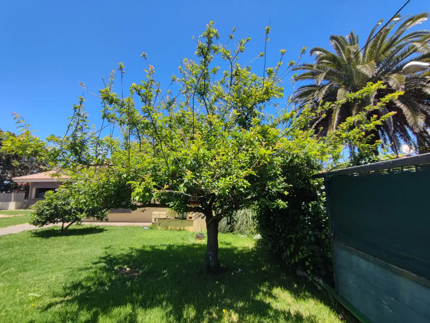 Jardí de Casa o xalet en venda en San Cristóbal de la Laguna amb Jardí privat, Terrassa i Traster