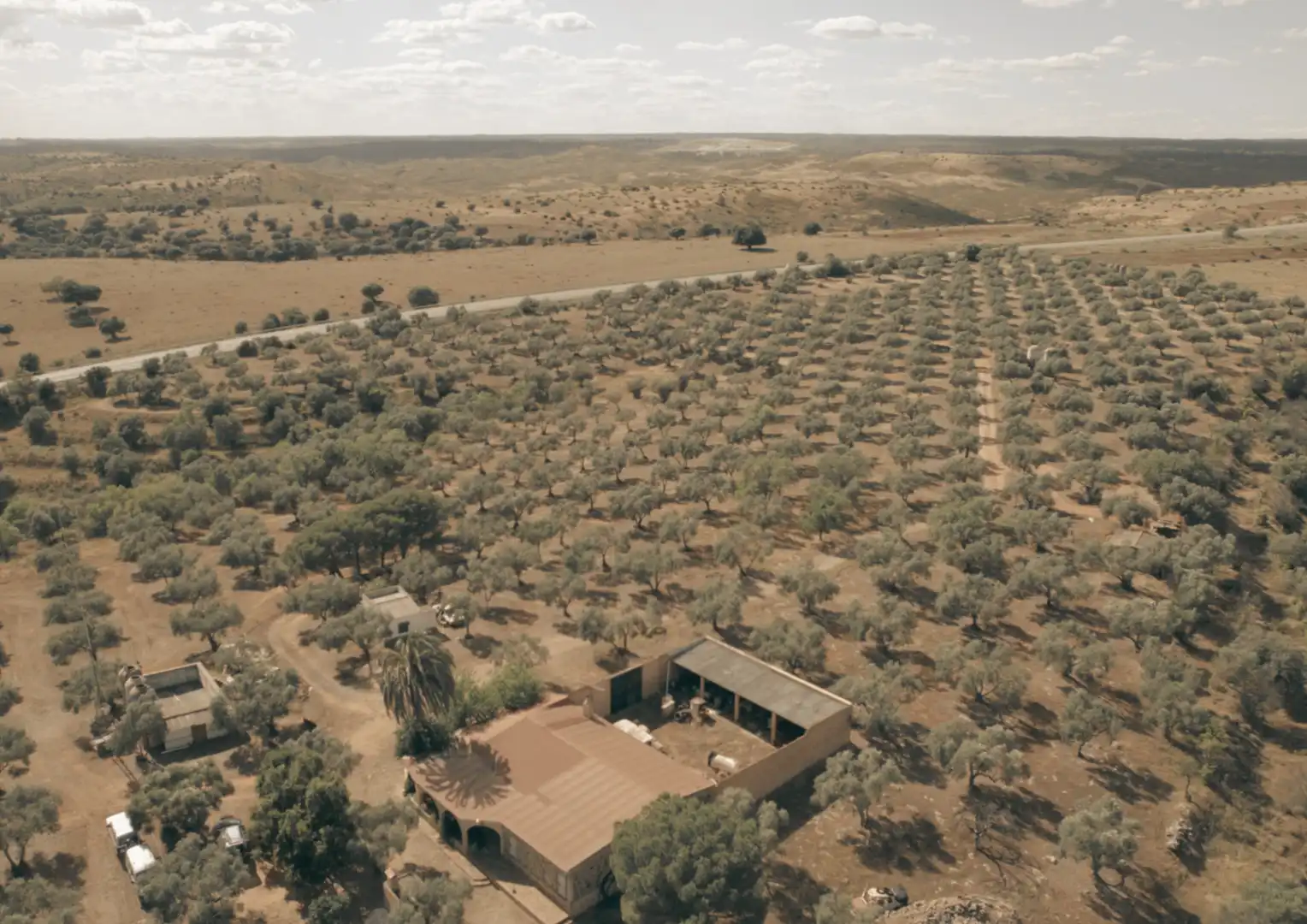 Finca rústica en venta en La Palma del Condado con Jardín privado, Terraza y Trastero