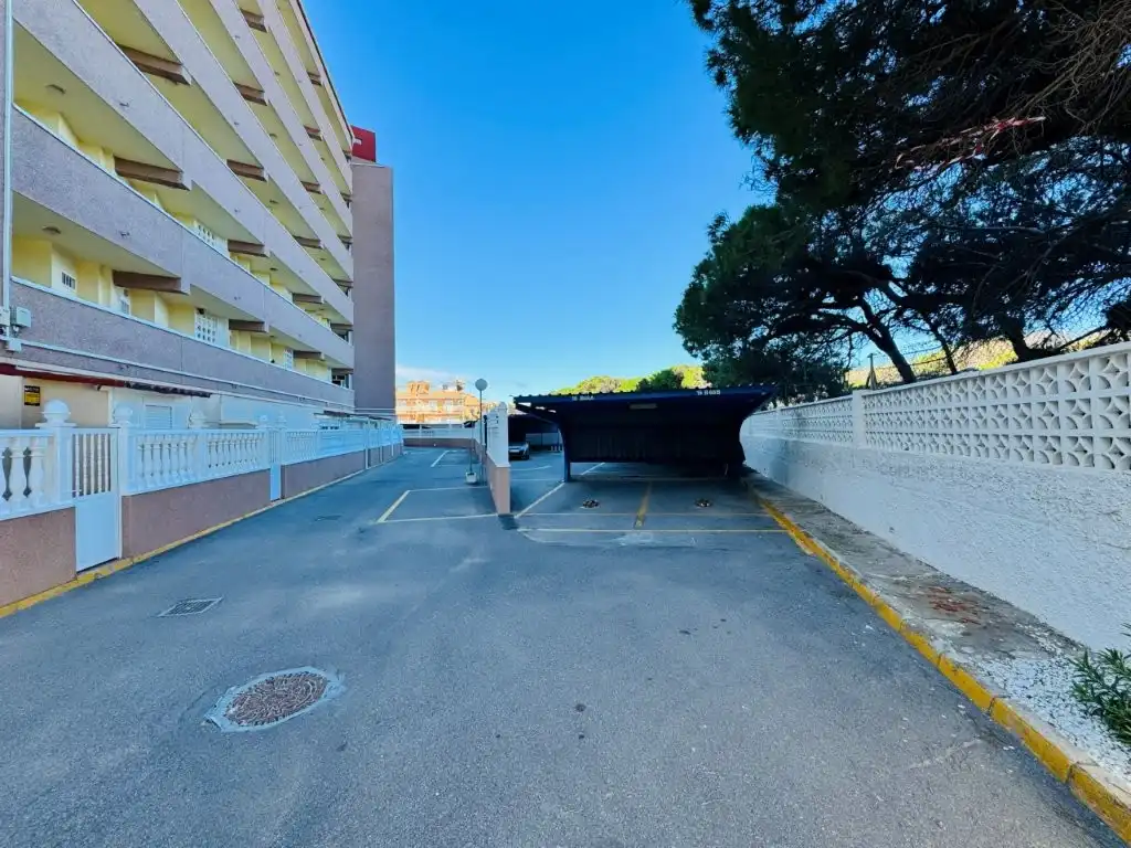 Apartament amb piscina en venda a La Mata, imagen 6