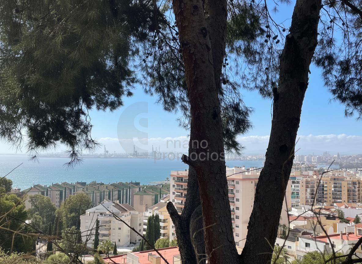 Exterior view of House or chalet for sale in Málaga Capital  with Air Conditioner, Private garden and Terrace