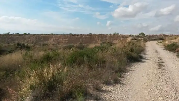 Rustikales Grundstück zum Verkauf in Cinco-El Moco, 321, imagen 9