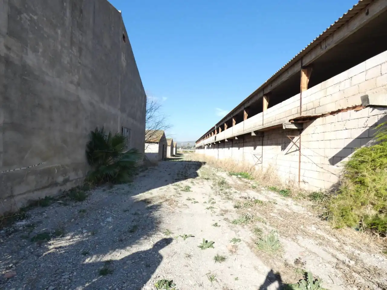 Industrial building for sale in Calle PARTIDA COLLET, POLIGONO 13, imagen 7