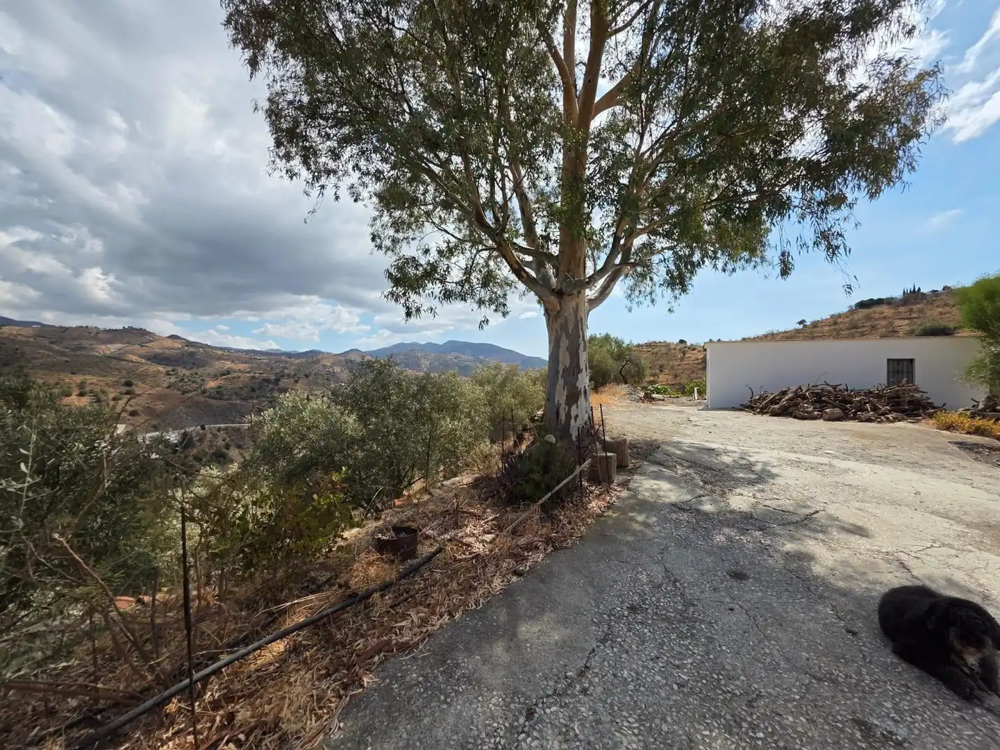 Casa rústica en venda a Viñuela, imagen 2