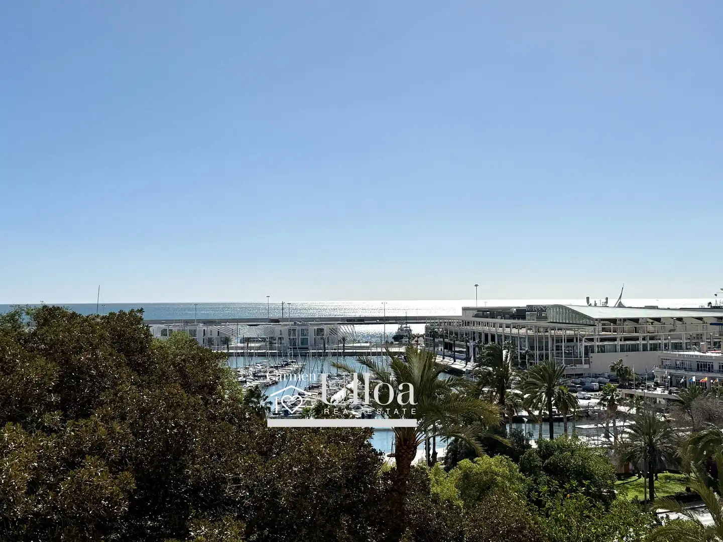 Vista exterior de Apartament en venda en Alicante / Alacant amb Aire condicionat, Calefacció i Jardí privat