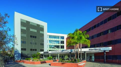 Photo 4 of House or chalet to share in Pedro Salvador - Las Palmeritas, Sevilla