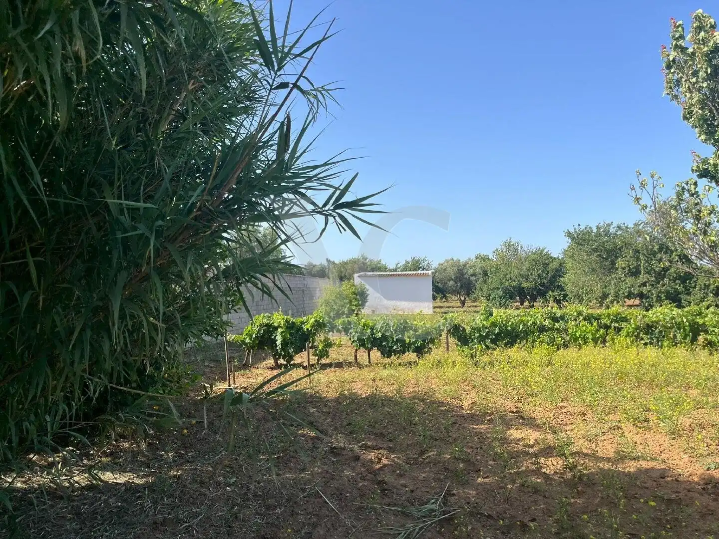Residential zum Verkauf in Chiclana de la Frontera