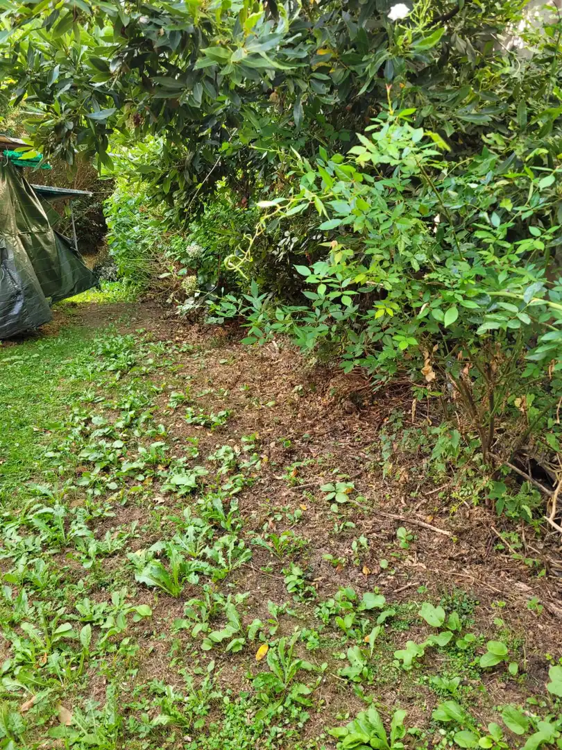 Terreni e lotti in vendita a A Gándara, imagen 15