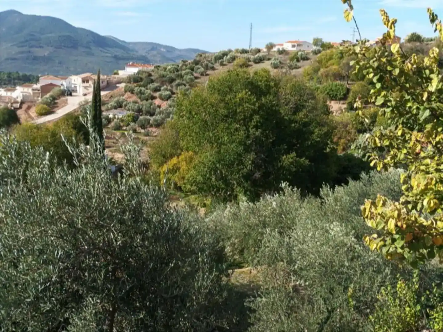 Vista exterior de Finca rústica en venda en Orcera amb Aire condicionat, Jardí privat i Traster