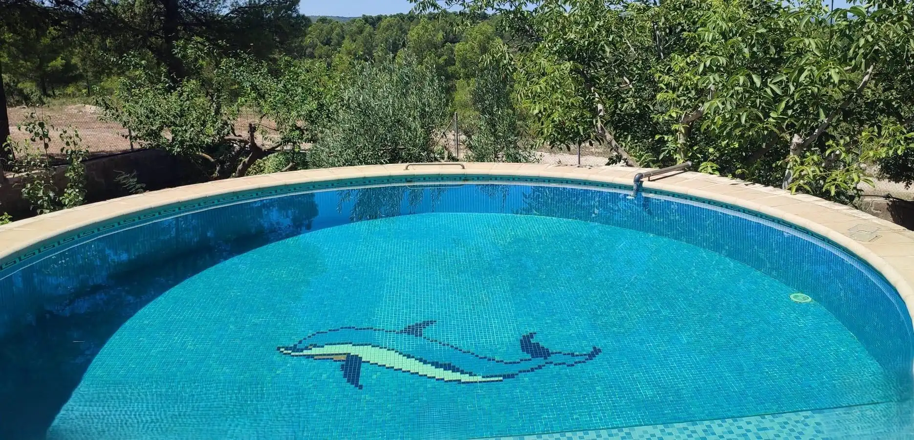 Piscina de Casa o chalet en venta en Mogente / Moixent con Aire acondicionado, Calefacción y Jardín privado