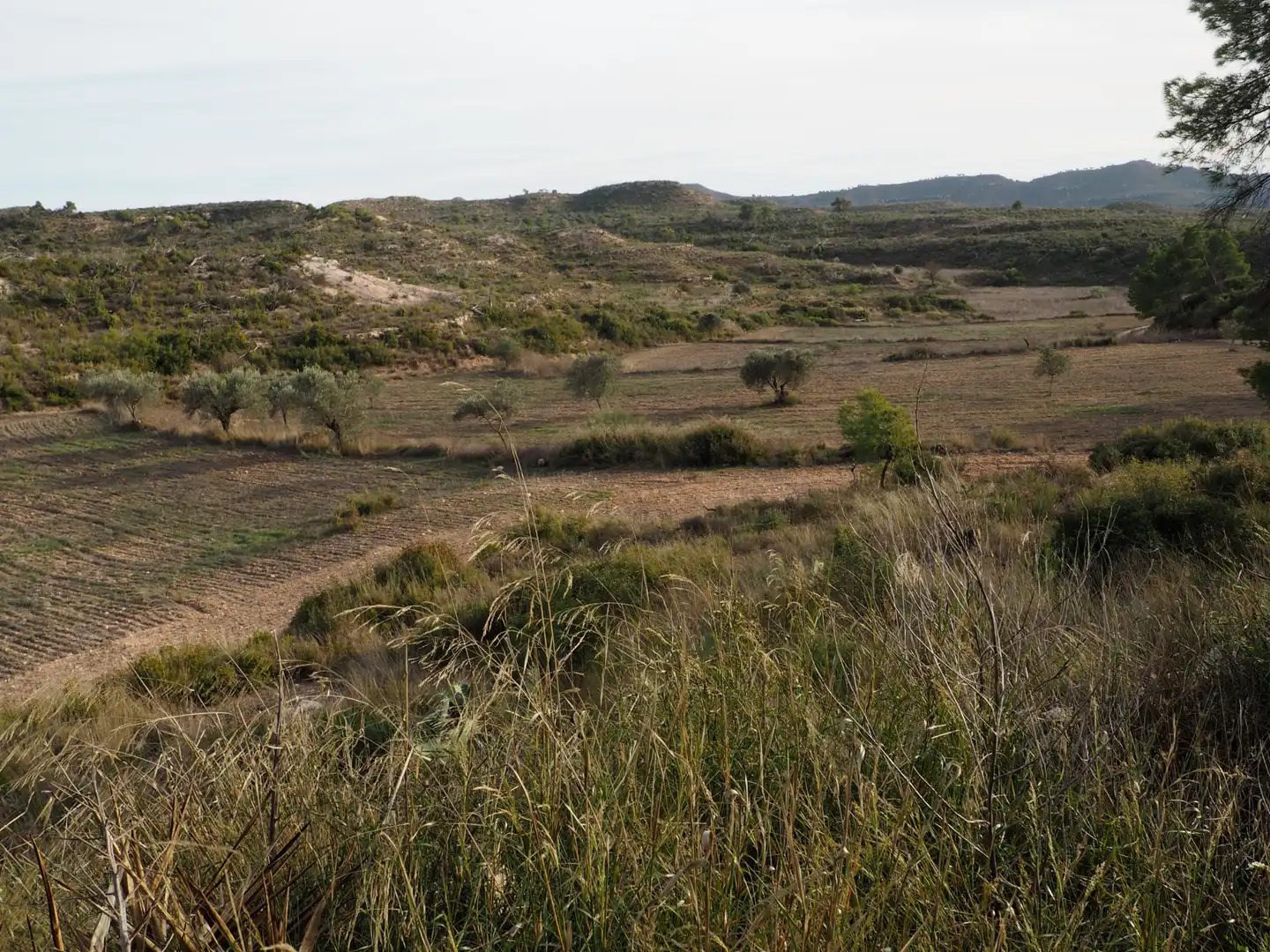 Terreno en venta en Flix