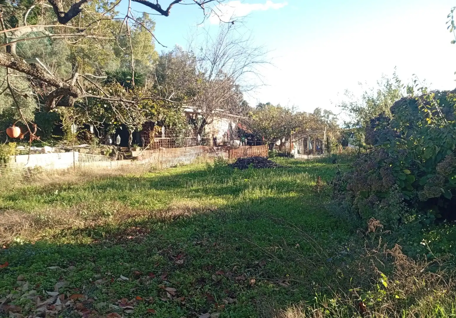 Terreni e lotti in vendita a Villanueva de la Vera, imagen 4