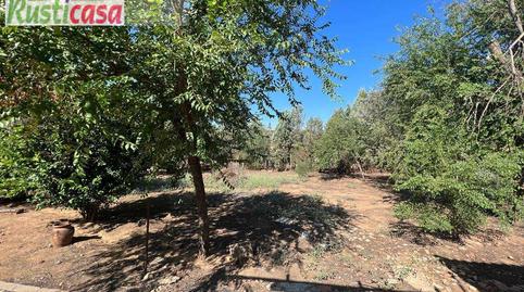 Foto 3 de Casa o xalet en venda a Angulo, 1, Villanueva de la Reina, Jaén