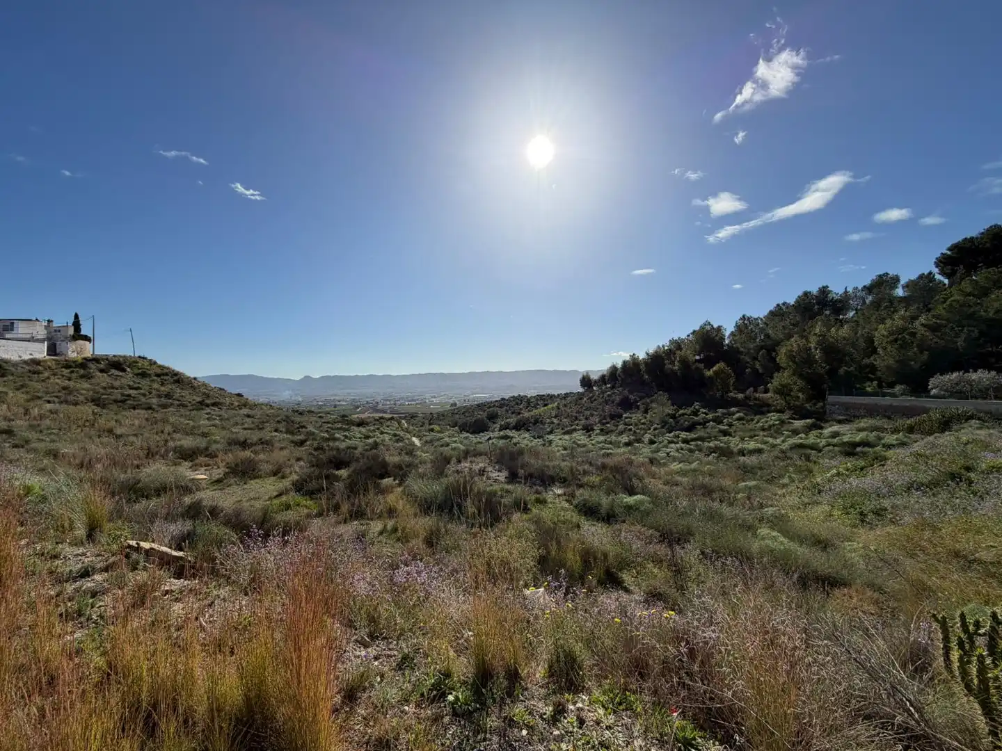 Land for sale in Murcia