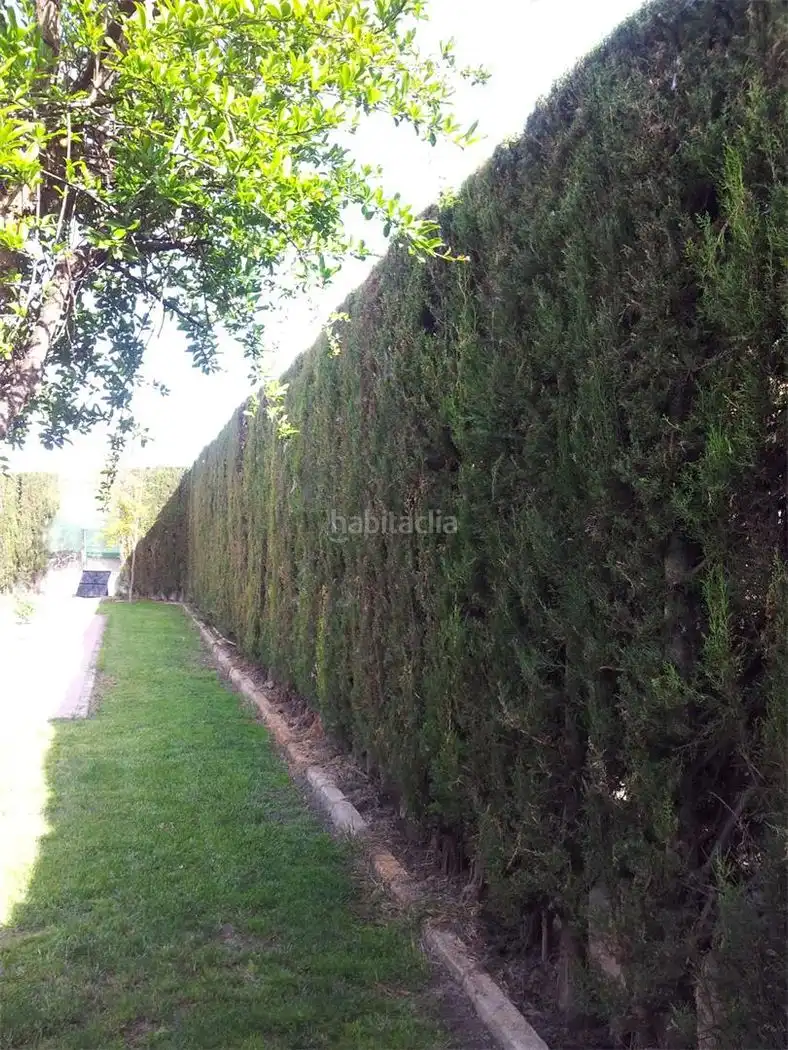 Haus zum Verkauf in Calle Darajali 9, imagen 29